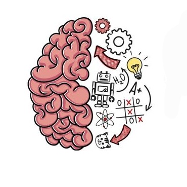 Brain Test