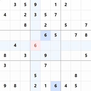 Sudoku Puzzles